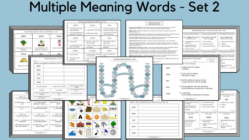 Multiple Meaning Words Set 2